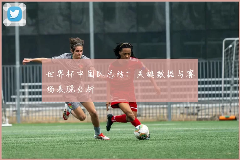 世界杯中国队总结:关键数据与赛场表现分析