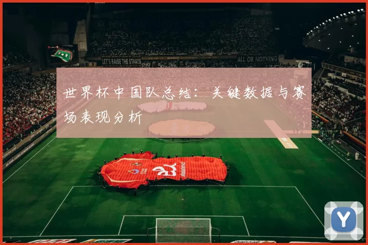 世界杯中国队总结:关键数据与赛场表现分析