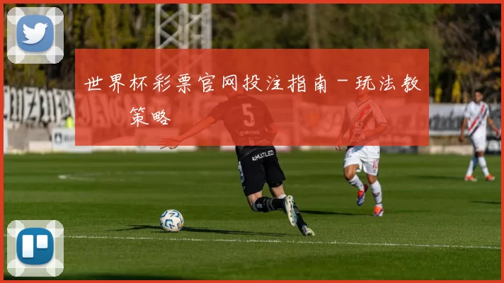 世界杯彩票官网投注指南 - 玩法教學與策略