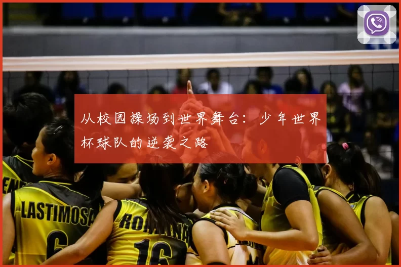 从校园操场到世界舞台:少年世界杯球队的逆袭之路