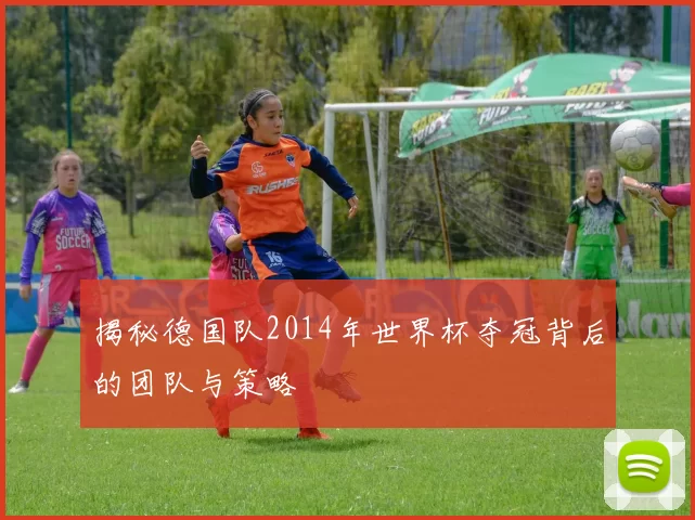 揭秘德国队2014年世界杯夺冠背后的团队与策略