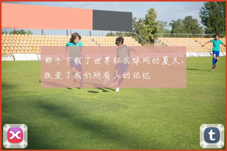 那个下载了世界杯买球网的夏天,改变了我们所有人的记忆