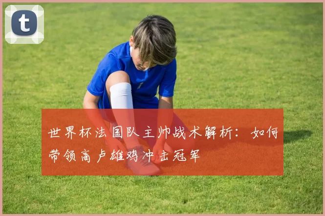 世界杯法国队主帅战术解析：如何带领高卢雄鸡冲击冠军