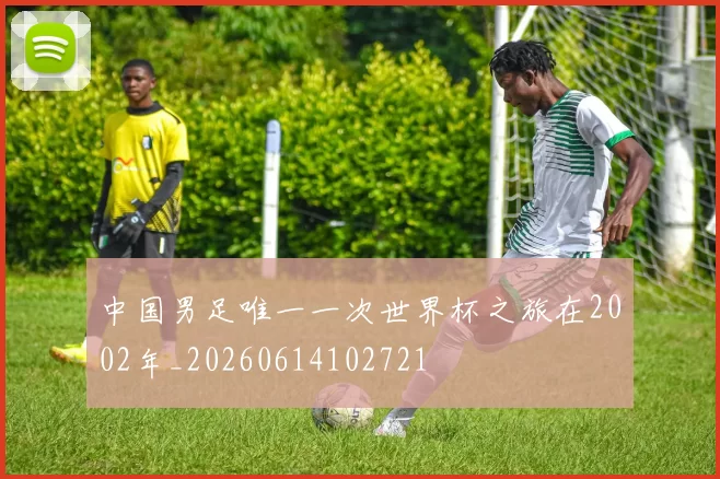 中国男足唯一一次世界杯之旅在2002年_20260614102721