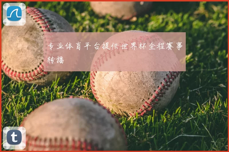 专业体育平台提供世界杯全程赛事转播