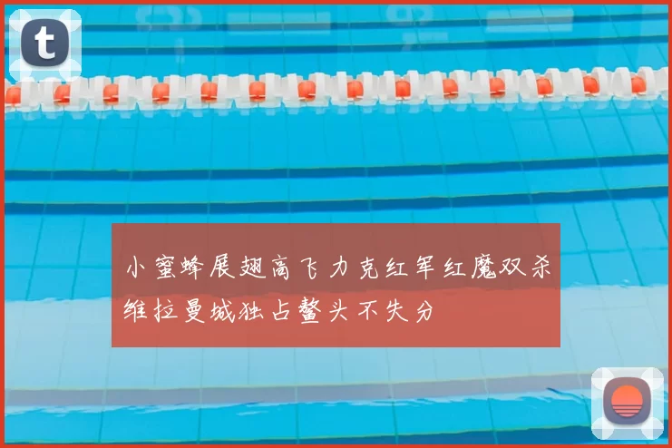 小蜜蜂展翅高飞力克红军红魔双杀维拉曼城独占鳌头不失分