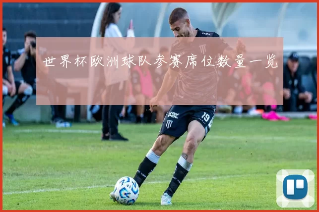 世界杯欧洲球队参赛席位数量一览
