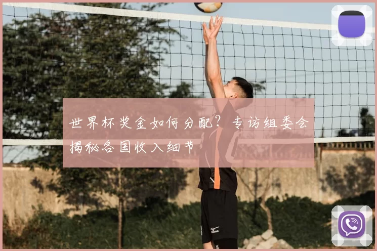 世界杯奖金如何分配？专访组委会揭秘各国收入细节
