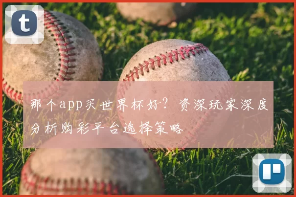 那个app买世界杯好?资深玩家深度分析购彩平台选择策略
