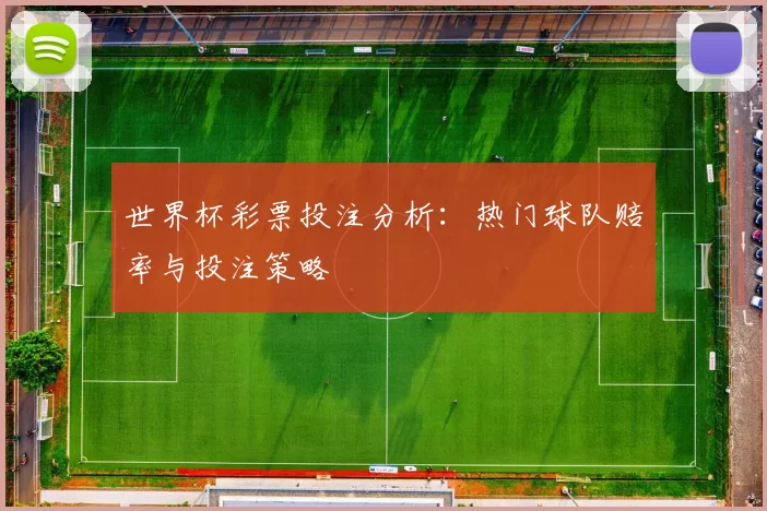 世界杯彩票投注分析:热门球队赔率与投注策略