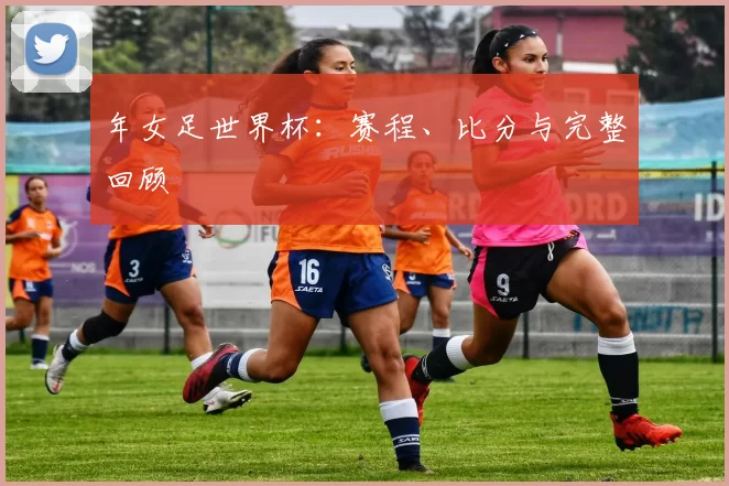 年女足世界杯:赛程、比分与完整回顾