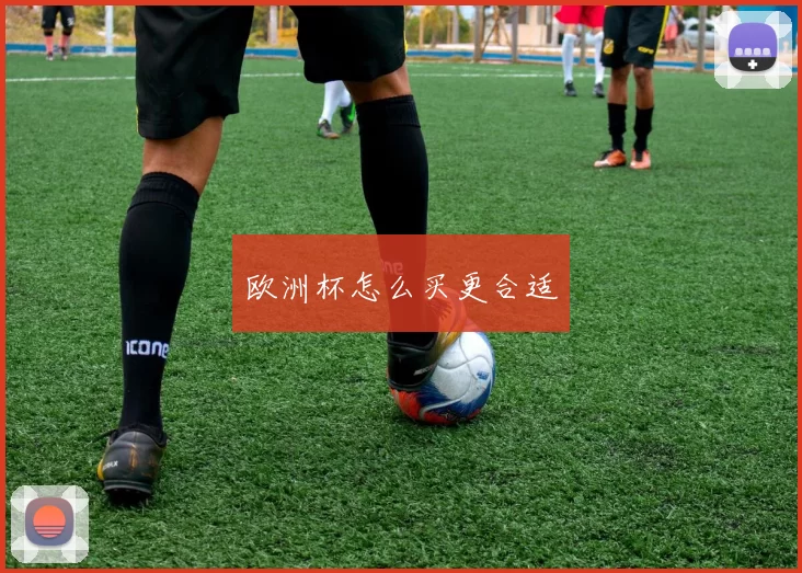 欧洲杯怎么买更合适