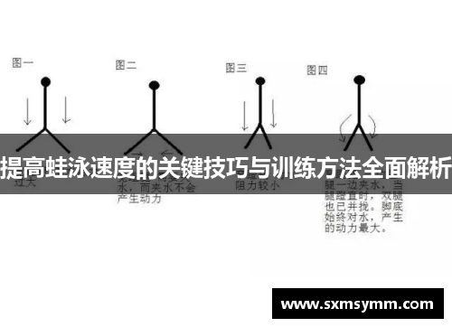 提高蛙泳速度的关键技巧与训练方法全面解析
